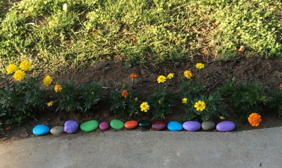 rocks by marigolds