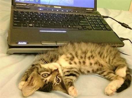 in-front-of-computer