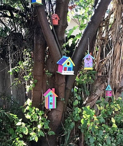 birdhouses-after-rain