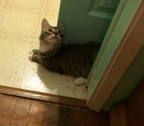 looking-up-from-floor