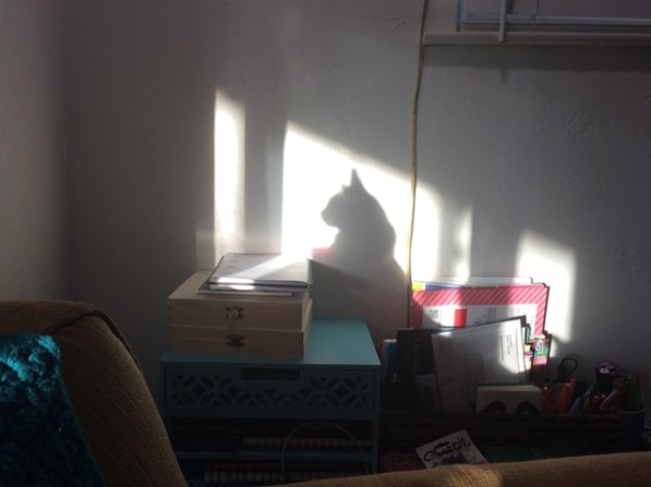 humming-watch-shadow