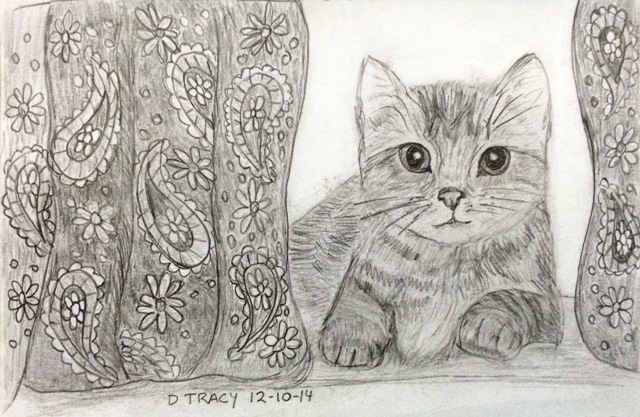 cat-with-paisley-curtains