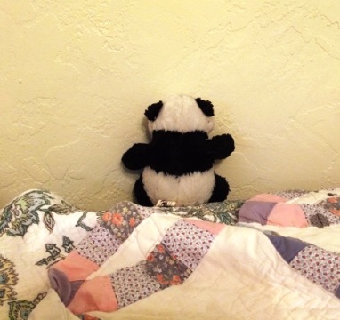 panda-in-time-out
