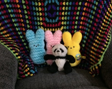panda-with-peeps