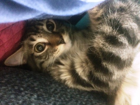 upside-down-in-recliner