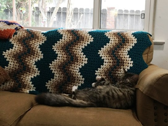 sleeping on couch