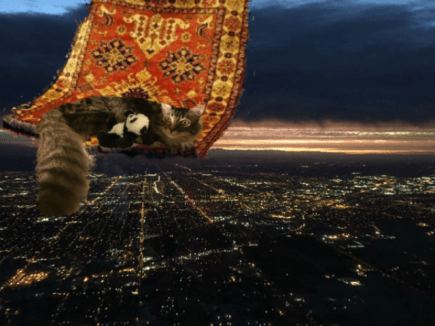 flying over fresno with panda