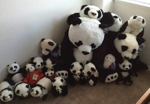 pandas in corner