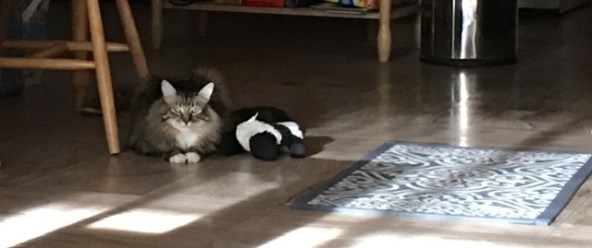 place in sun featured