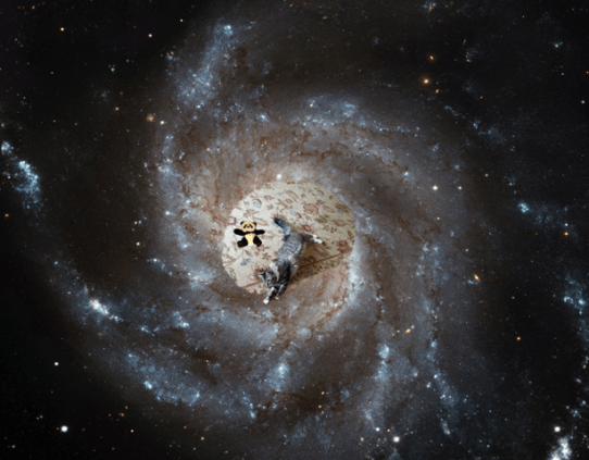 Foster in milky way 2