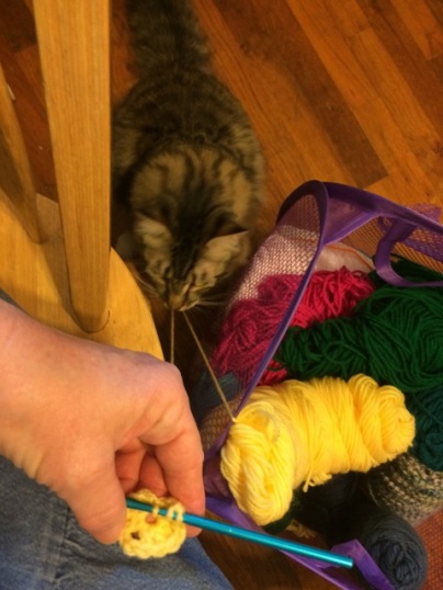 Foster with crochet