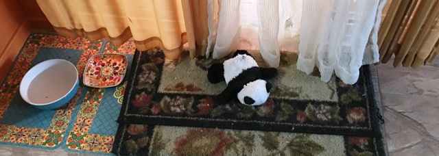 panda on flying carpet