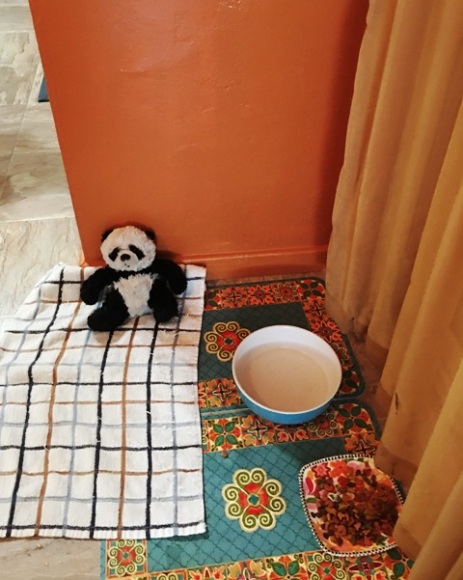 panda on towel