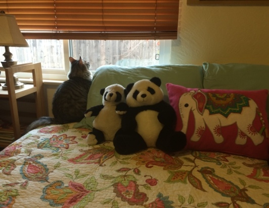 pandas in guest room 2