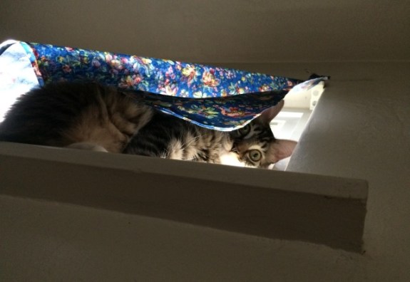 looking down from windowsill