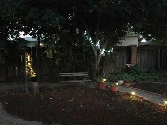back yard lights