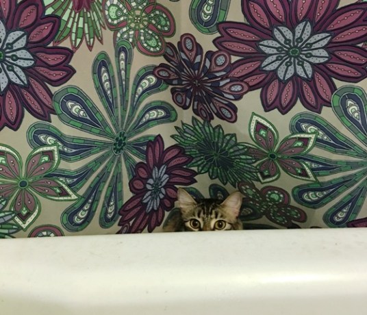 peeking out of tub