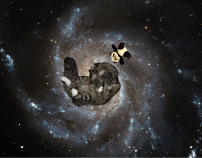 foster and panda in space2