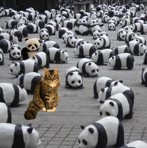 foster with pandas 2
