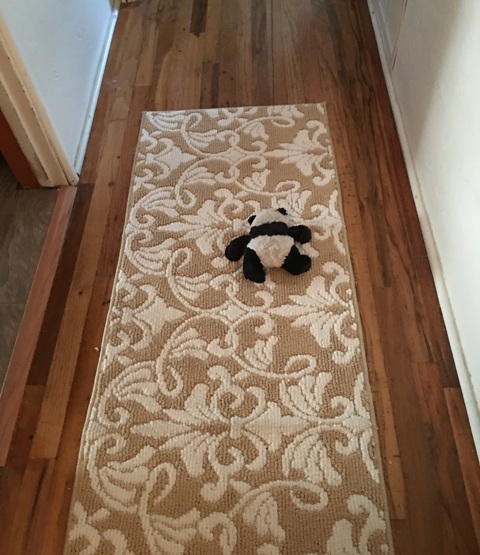 panda on rug in hall