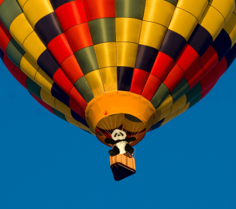 Panda in balloon cropped2