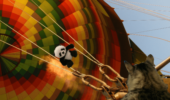 panda on wire foster2