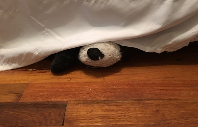 panda under bed