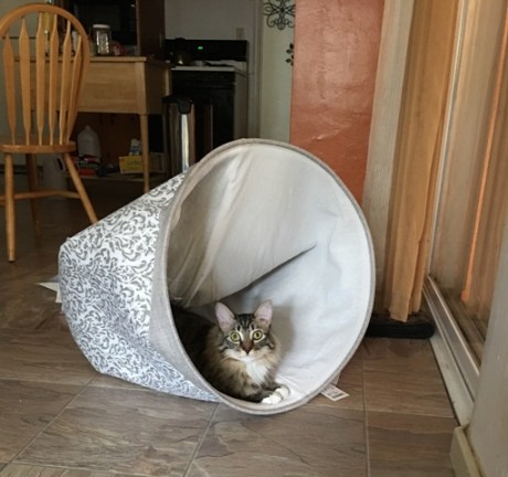 clothes hamper