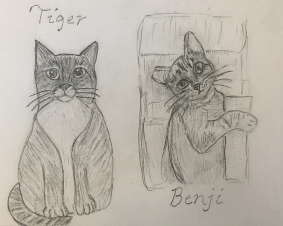 Tiger and Benji drawing