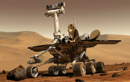 both on mars rover2