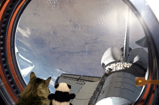 looking out of space shuttle b2