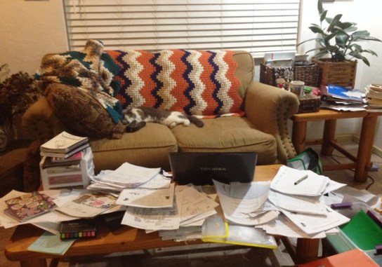 scout with school work 2013