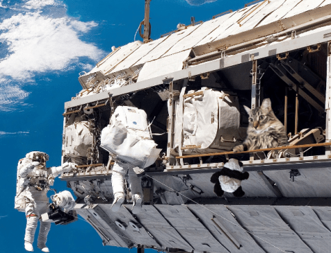 space walk together next2