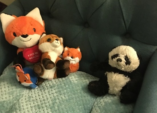with fox collection