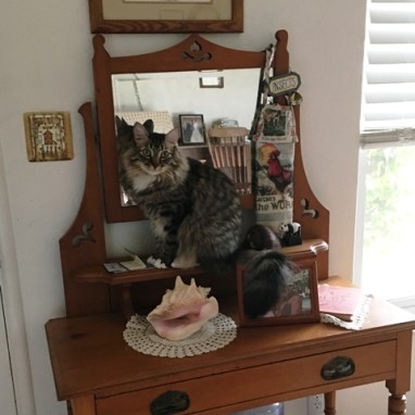 Foster by front door