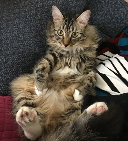 Foster sitting in recliner