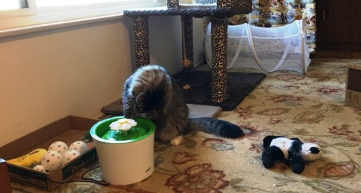 playing with water 2