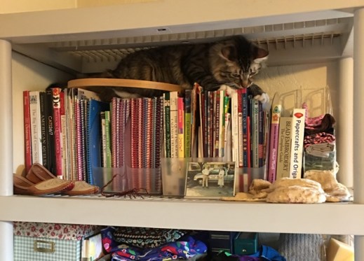 on craft bookshelf small