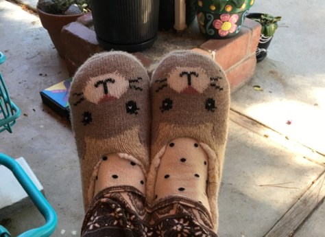 kitty slippers