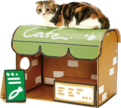 neko cafe