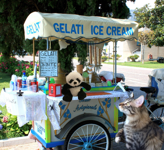 thinkig about driving sm