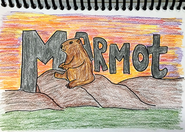 marmot