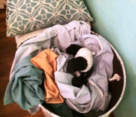 panda in laundry