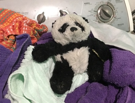 panda on towels