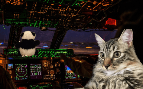 both in cockpit cropped