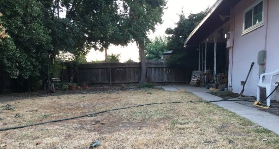 dry back yard