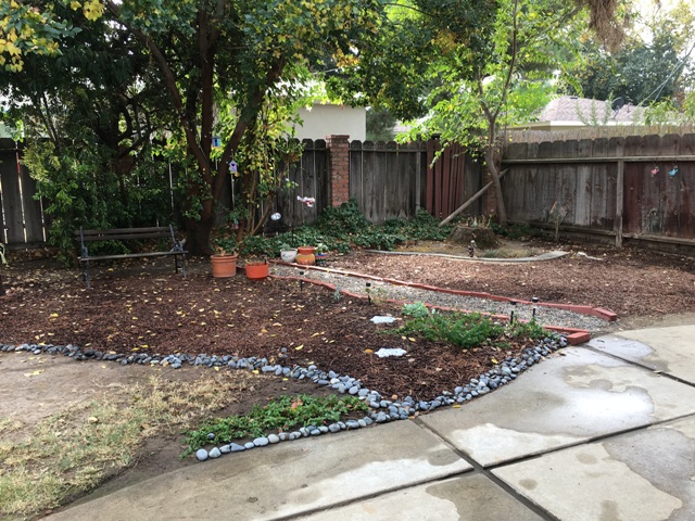 cracks in the sidewalk