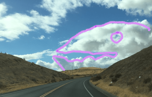 clouds and road animal