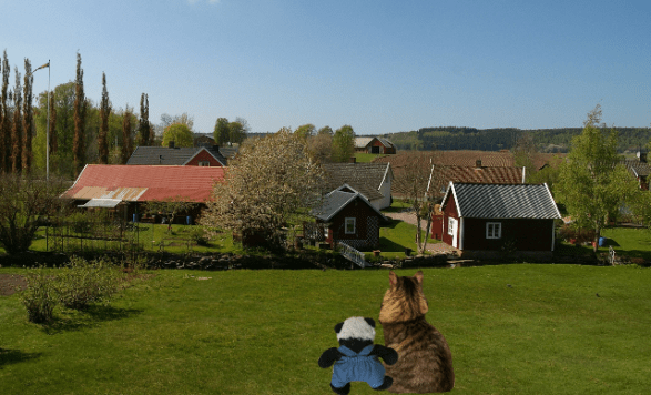 looking down at farm small
