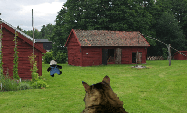 panda running off sm